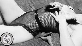 Grey Echoes Presentation