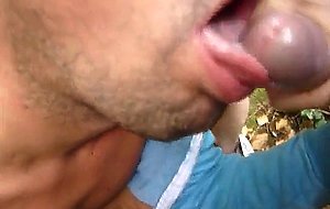 Cruising Foursome