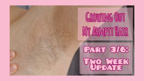 Growing out My armpit hair - two weeks of growth