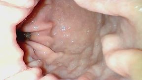 Baileys Empty Stomach