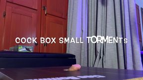 GEA DOMINA - COCK BOX SMALL TORMENTS