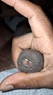 Desi BBC guy jerking Video 369