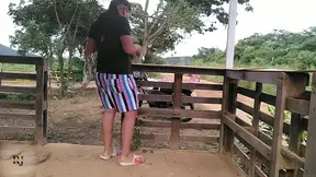 follando en corral mientras pasa la gente