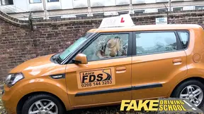 Sex Driving School Male Learner fucking his female examiner