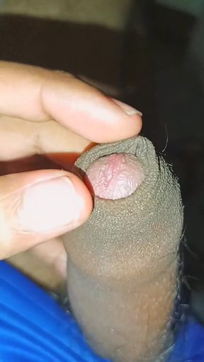 Playing with My Cock Solo