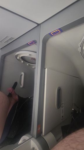 Airplane Bathroom Jerk and Cum.