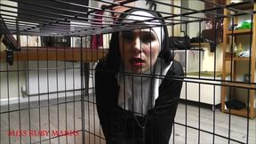 Caged Temptation (WMV)