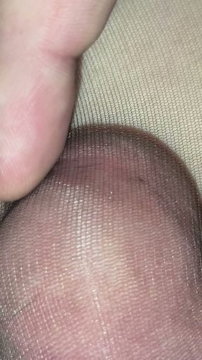 My sissy cock in someone's coffee pantyhose close-up. Precum Leaks out on nylon