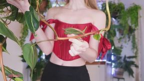 New Plants I Got Recently