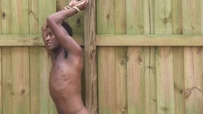 Forgotten Slave - Chapter 3