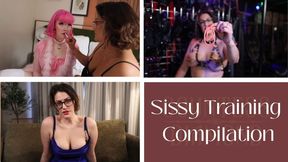 Sissy Training Compilation - SD Version