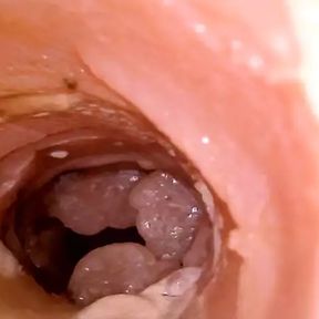 Inside my masturbator