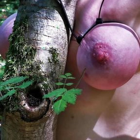 Tie my tits on a tree and punish me