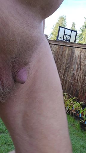 Frosty Morning Outside