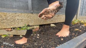 Muddy Feet Squelching JOI