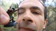 Giant man vores and destroys the forest kingdom (preview)