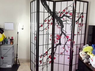 Transparent hawt dress try on haul 2024! Watch throughout costumes!