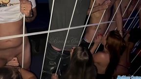insane orgy in the swing house: 4 men and 4 women in hot group with cumshots - hd