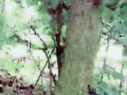 Slutboyben CAM4 ExpozzeD Next To HIGHway