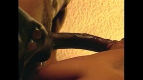 Unleashed Sluts for Anal Fuck