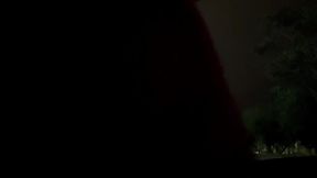 aline tavares o tesao foi tanto que transamos com os casais na lagoa do taquaral campinas. o novinho dotado me fodeu gostoso e me deu um banho de porra mais a nossa bela mijada no final