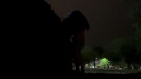 aline tavares o tesao foi tanto que transamos com os casais na lagoa do taquaral campinas. o novinho dotado me fodeu gostoso e me deu um banho de porra mais a nossa bela mijada no final