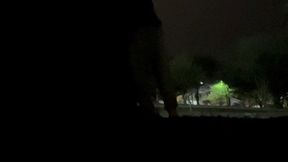 aline tavares o tesao foi tanto que transamos com os casais na lagoa do taquaral campinas. o novinho dotado me fodeu gostoso e me deu um banho de porra mais a nossa bela mijada no final