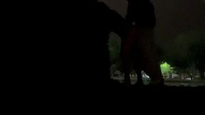 aline tavares o tesao foi tanto que transamos com os casais na lagoa do taquaral campinas. o novinho dotado me fodeu gostoso e me deu um banho de porra mais a nossa bela mijada no final