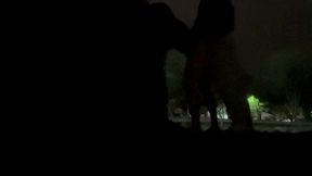 aline tavares o tesao foi tanto que transamos com os casais na lagoa do taquaral campinas. o novinho dotado me fodeu gostoso e me deu um banho de porra mais a nossa bela mijada no final