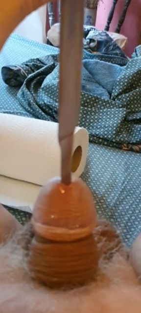 Fork in penis urethra