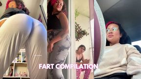 Silly Natural Fart Compilation Public Elevator Car Everywhere