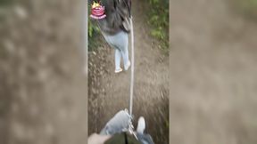 Chastity Sub Leashed Outdoors Taken on Private Walks
