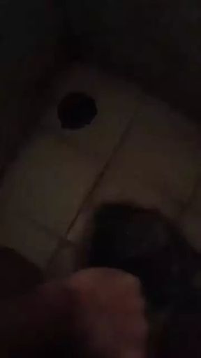 Horny bull fun
