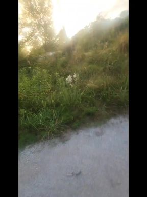 Went for a Walk at the Truck Stop