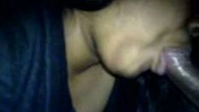 Dark haired Indian quite pretty nympho was blowing her BF's dick