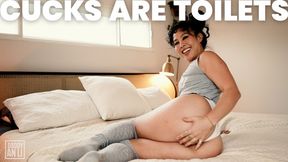 Cucks are Toilets