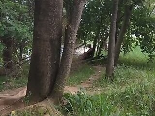 Group sex in park
