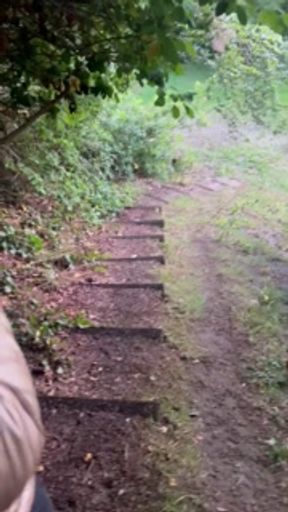 i suck it and swallow a load of cum by the side of a road