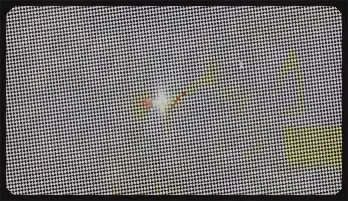 Sophia Grace: Ultimate Blonde Pleasure