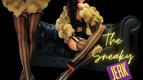 The Sneaky Jerk :A Forbidden Pleasure POV