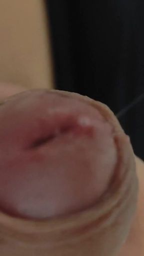 Amazing Pre Cum Glans.