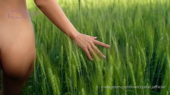 Owl Stal's Blonde Blowjob in the Field - Almost Cut Short by Mosquitoes!