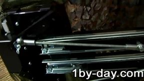 Viktoria Blonde get on the Stallion