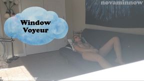 Window Voyeur