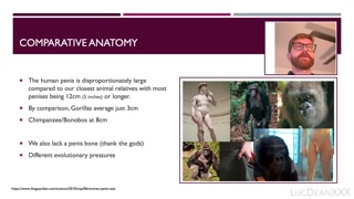 Luke's Lecture: Adult Male Anatomy and Sexual Function (Live Demonstration)
