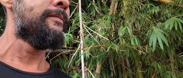 Back to my Origins - Vlog now 4
