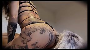 Je m&rsquo_amuse avec mon plug queue de renard ?