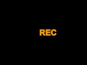 Brigitte Solo