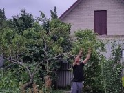 It's always nice to do something in the garden