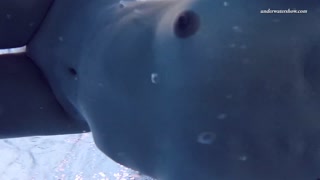 Hot Elena shows what she can do under water